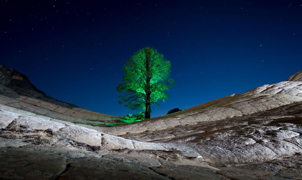 Light Painting the solitary tree.