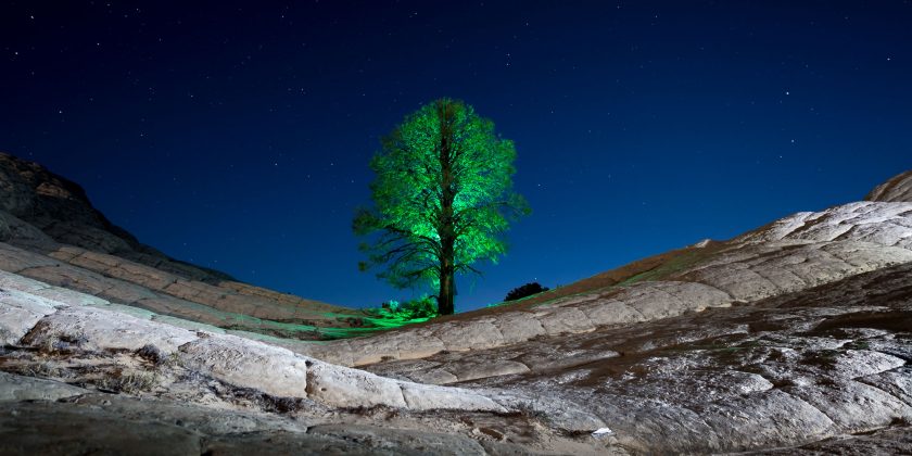 Light Painting the solitary tree.